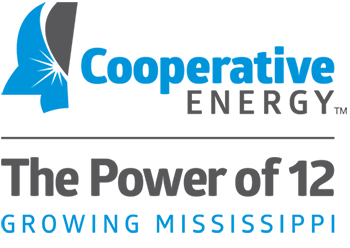power-of-12-logo-png The Power of 12 Cooperative Energy logo block